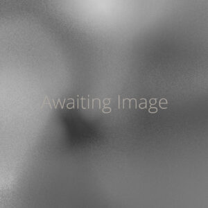 Awaiting Image
